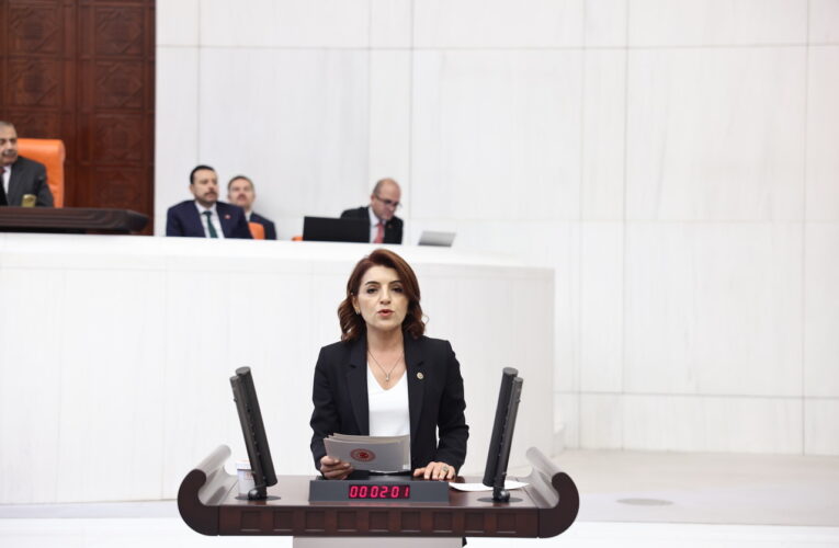 CHP Mersin Milletvekili Gülcan KIŞ; Vatandaş Borç Batağında, Bakan Şimşek Hayal Aleminde!