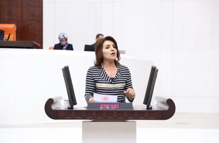 CHP’Lİ KIŞ: “AKP’NİN AMACI CHP’Lİ BELEDİYELERİN VATANDAŞA HİZMETİNİN ÖNÜNÜ KESMEK”