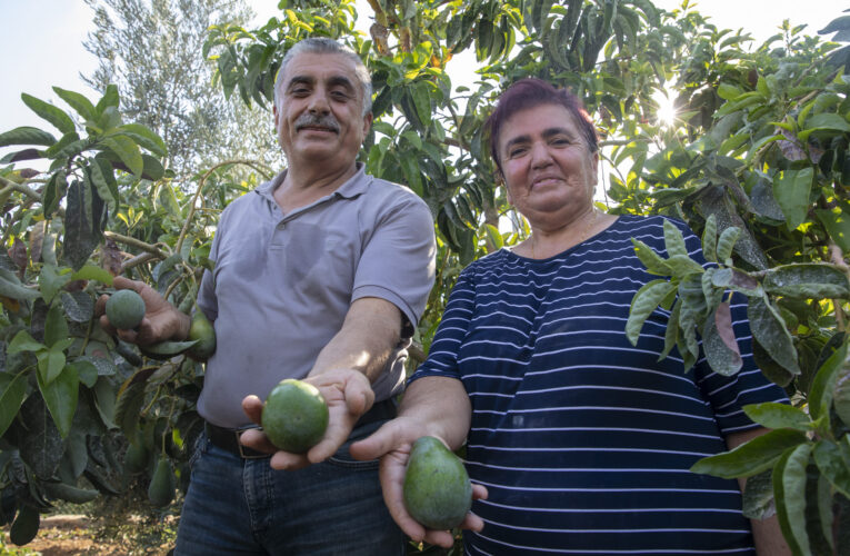 BÜYÜKŞEHİR’İN FİDE FİDAN DESTEKLERİ İLE ÜRETİM DE ÜRETİCİ DE BÜYÜYOR