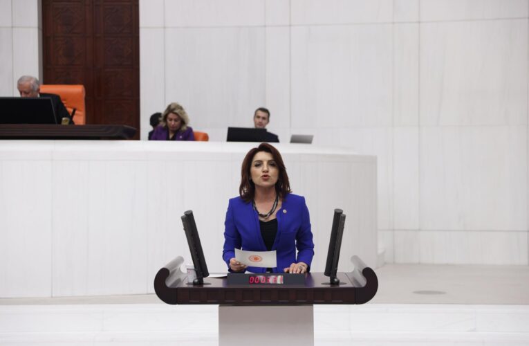 CHP’li Kış: “Ekonomik Kriz Önce Eğitimi Vurdu”