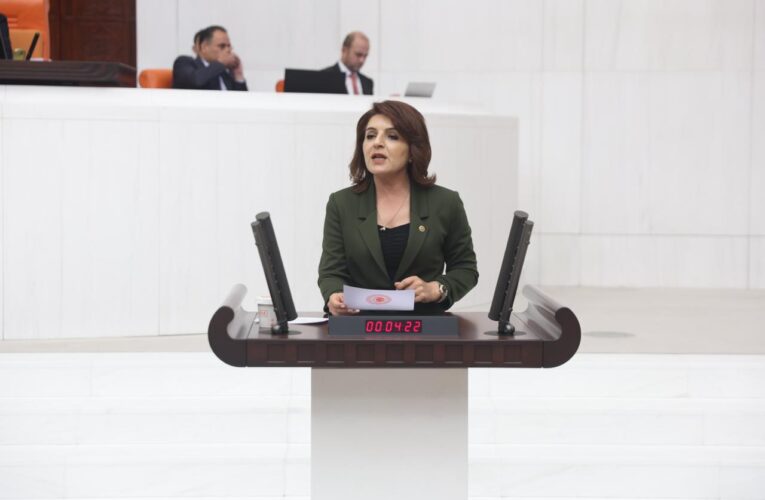 CHP MERSİN MİLLETVEKİLİ GÜLCAN KIŞ: “BAKANLIĞIN AÇIKLADIĞI RAKAMLAR YOKSULLUĞUN İTİRAFIDIR”