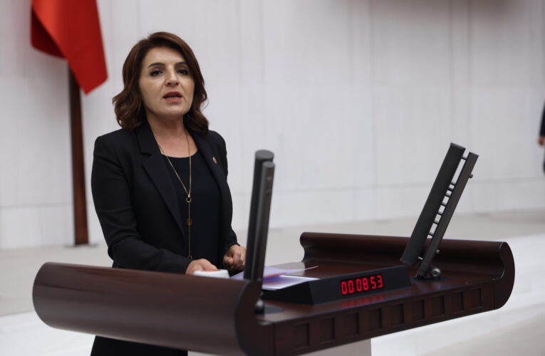 Gülcan Kış, Mersin’in Deprem Riskine Dikkat Çekti: Çevre ve Şehircilik Bakanlığı’na Kritik Sorular Yöneltti