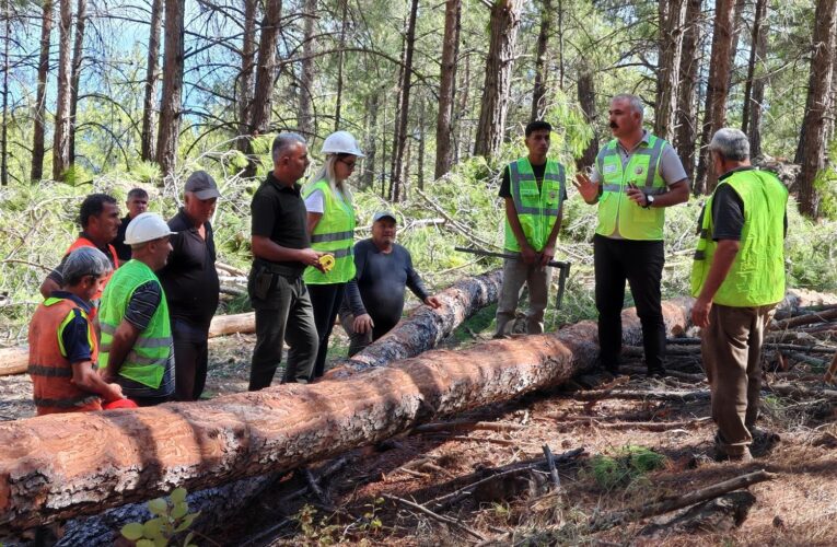 Önceliğimiz İş Güvenliği