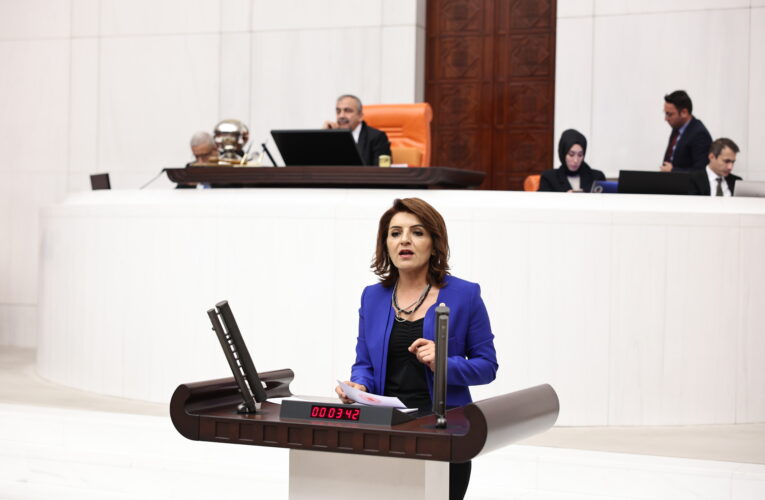 “Kayyım Darbesine Halk Sandıkta Cevap Verecek!”