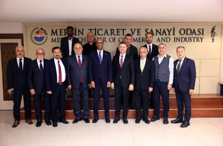 Somali Türk yatırımcıları bekliyor