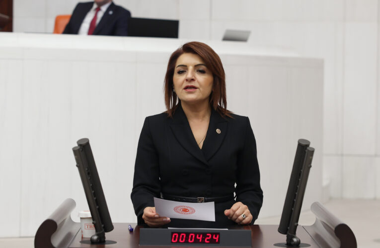 CHP Mersin Milletvekili Gülcan Kış 10 Ocak Gazeteciler Günü’nü Kutladı