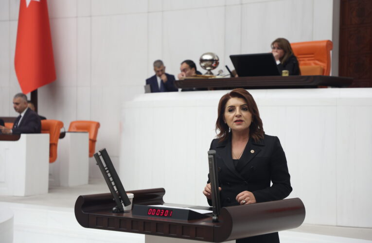 “Mersin’in turizm potansiyeli, AKP iktidarının ihmalleriyle harcanıyor!”