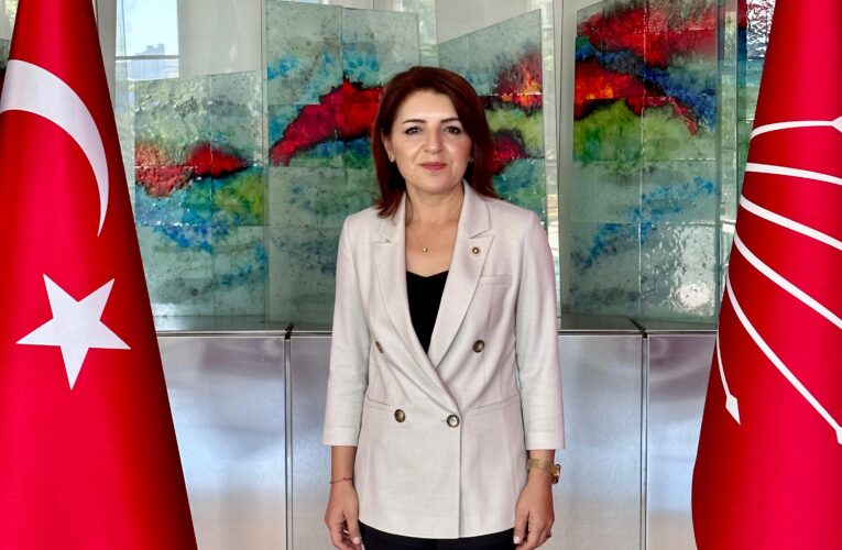 CHP Mersin Milletvekili Gülcan Kış: “Mersin, AKP İktidarının Haksız Uygulamalarının Başkenti Haline Geldi”