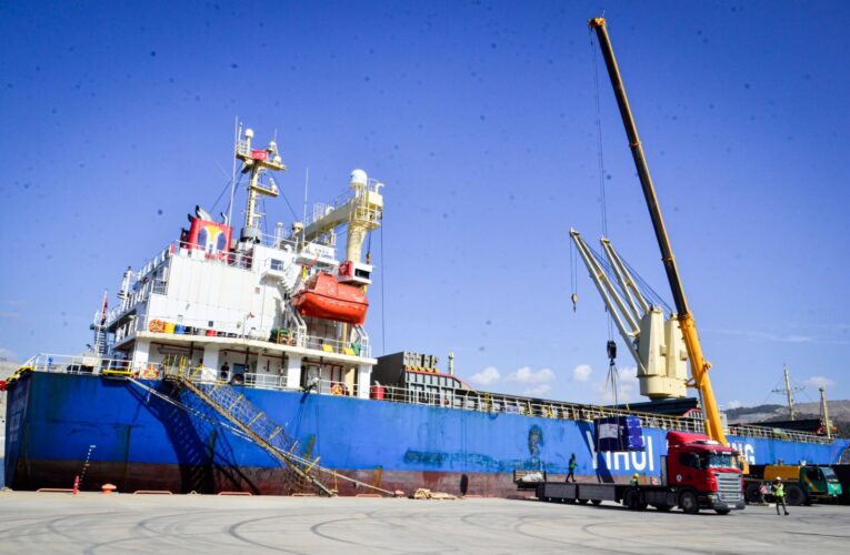 Akkuyu NGS Kargo Terminali 100. Kargo Gemisini Kabul Etti