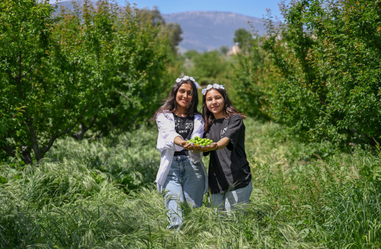 4. GÖKSU GRAVGA ERİK ŞENLİĞİ YAPILDI