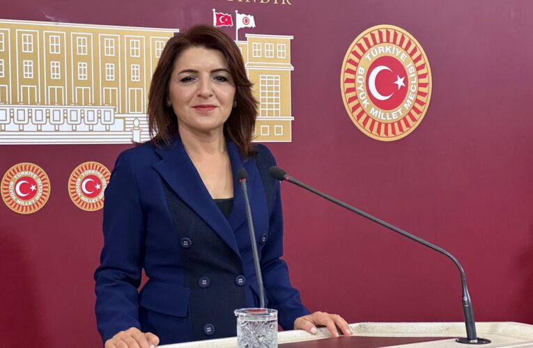 CHP Mersin Milletvekili Gülcan Kış:  “Bu Meclis çocuklar yoksullukla oynasın diye kurulmadı!”