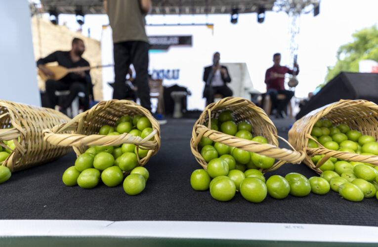 ’15. GEZENDE ERİK VE KÜLTÜR FESTİVALİ’ BÜYÜK BİR COŞKUYLA GERÇEKLEŞTİRİLDİ