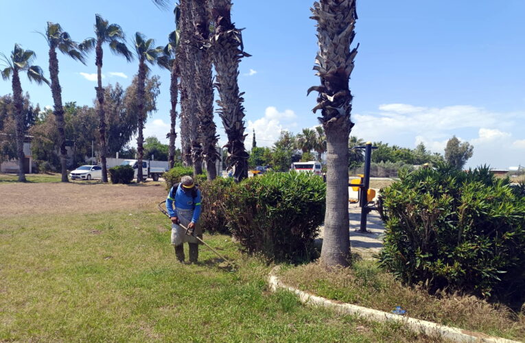 AKDENİZ’İN PARK, BAHÇE VE YEŞİL ALANLARINA YAZ BAKIMI
