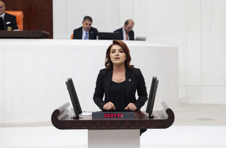 CHP’li Gülcan Kış, TBMM kürsüsünden Mersin’in sesi oldu: “Mersin üretiyor ama yatırım alamıyor, bu bir ihmalkârlık değil, siyasi tercihtir!”