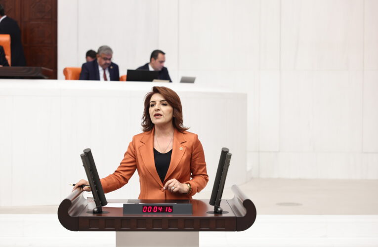 CHP’li Gülcan Kış: “Bu Yasa Tam Bir Doğa Talanıdır, Geçit Vermeyeceğiz!”