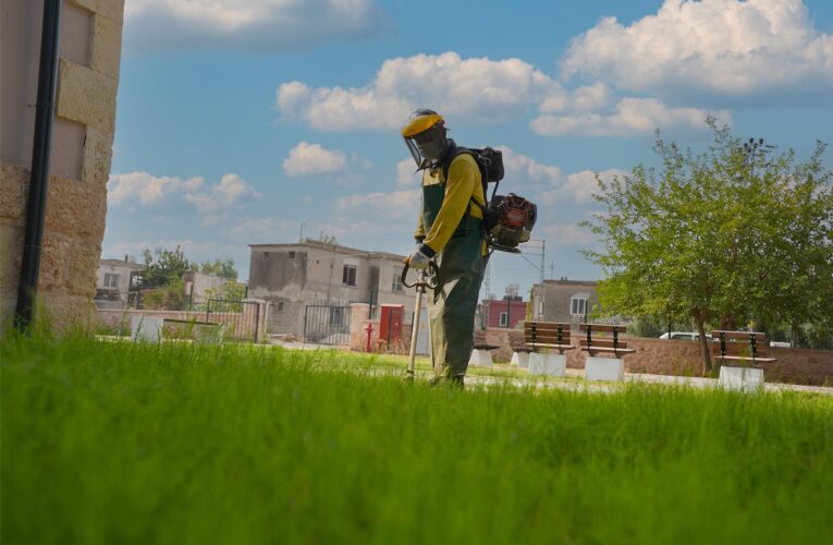 ÖZBEK MAHALLESİ’NDE TEMİZLİK VE BAKIM ÇALIŞMASI TAMAMLANDI