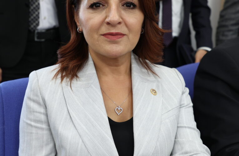 “YASTIK ALTI DEĞİL, YÖNETİM ÜSTÜ SORUN!”