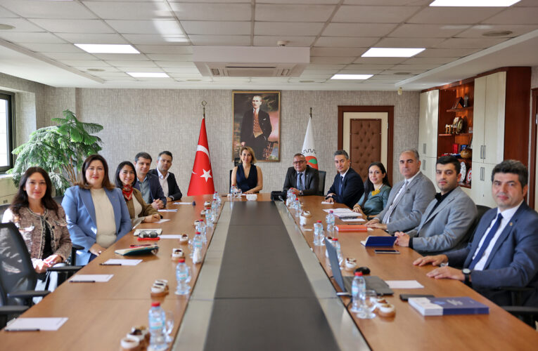 DAHİ Mersin Projesi, sanayi kuruluşlarının radarında