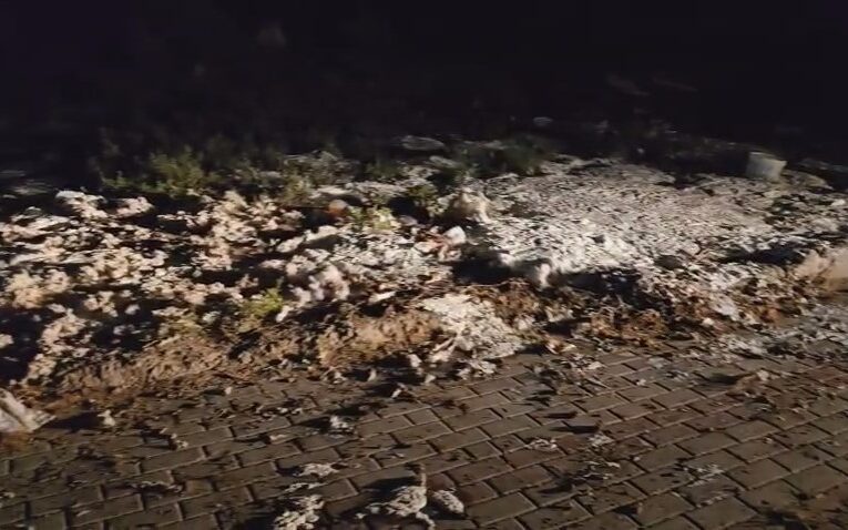 Önce tonlarca tekstil atığı şimdi de kilolarca yoğurt