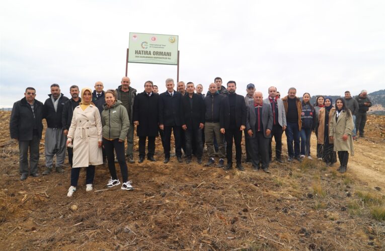 2025 Uluslararası Kooperatifler Yılı Anısına Hatıra Ormanı