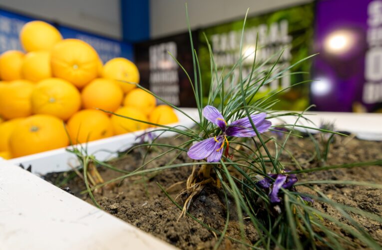 Başkan Özyiğit: Tarım Artık Gelecek Meselesi