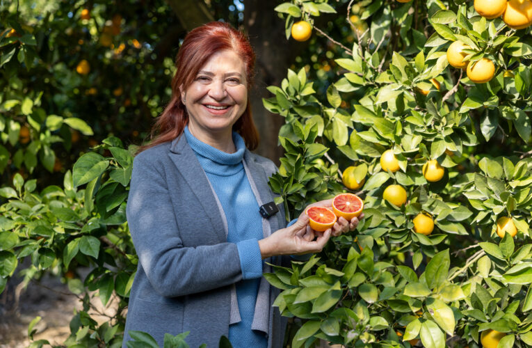 TESCİL MERSİNDEN KADIN KOOPERATİFİ’NDEN; SIRADAKİ HEDEF AVRUPA BİRLİĞİ
