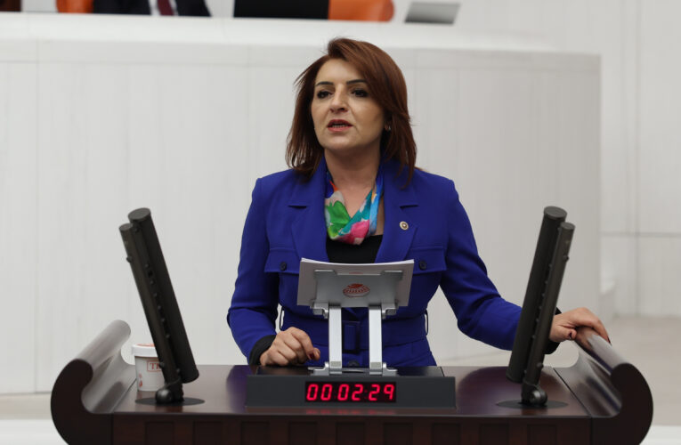 Gülcan Kış: “Bu Mali Disiplin Değil, Belediyelere Yönelik Siyasi Cezalandırmadır”